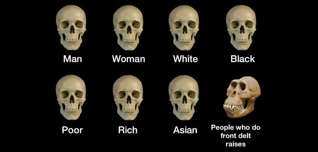 normal-human-skulls-labeled-as-different-types-of-people-and-one-primitive-primate-skull-labeled-as-people-who-do-front-delt-raises